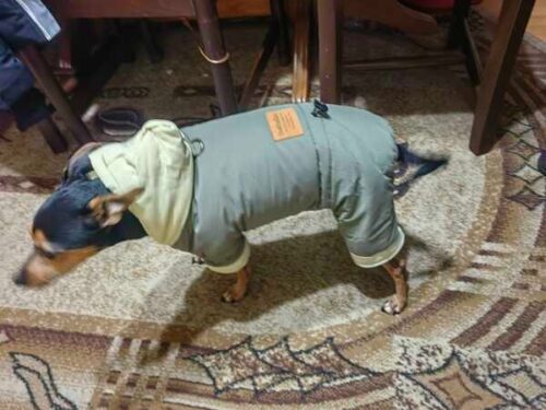 Salopeta imblanita, Impermeabila, Gluga, Inel pentru Lesa #HC1776 photo review