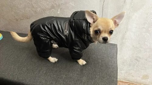 Salopeta imblanita, impermeabila, Neagra #HC548 photo review