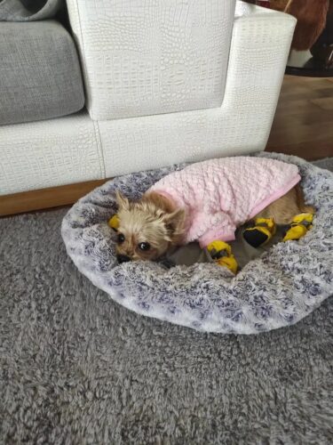 Bluza Pufoasa - Roz #HC840 photo review