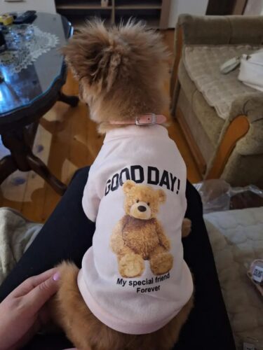Bluza Roz - Good Day #H544 photo review