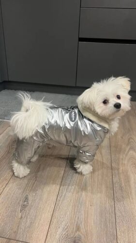 Salopeta imblanita, Impermeabila, Gluga, Inel pentru Lesa, Argintiu #HC1793 photo review