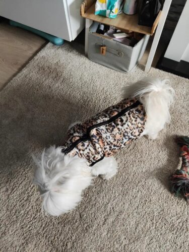 Vesta impermeabila, Leopard #HC123 photo review