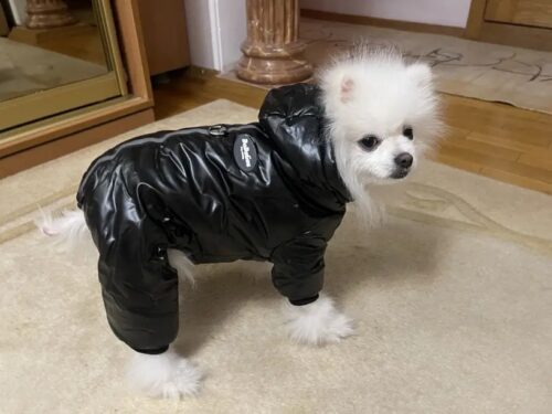 Salopeta imblanita, Impermeabila, Gluga, Inel pentru Lesa, Negru #HC1792 photo review