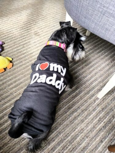 Tricou pentru catei - I ❤ My Daddy - Negru #HC1678 photo review