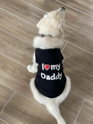 Tricou pentru catei - I ❤ My Daddy - Negru #HC1678 photo review