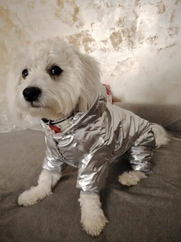 Salopeta imblanita, impermeabila, Argintiu #HC547 photo review