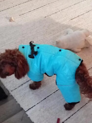 Salopeta Imblanita, Impermeabila, Inel Pentru Lesa HC1758-1764 photo review