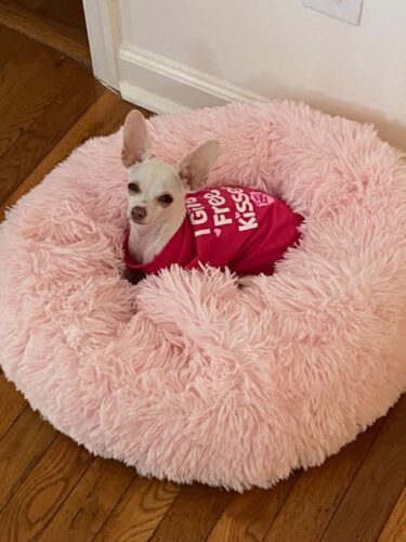 Tricou - Free Kisses - Roz #HC1039 photo review