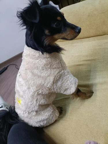 Salopeta Pufoasa, Inel pentru lesa, Crem #HC1807 photo review