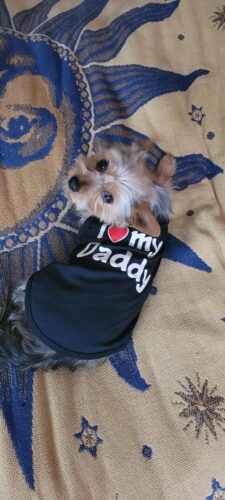 Tricou pentru catei - I ❤ My Daddy - Negru #HC1678 photo review