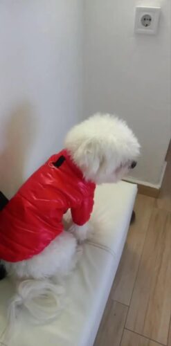 Geaca Matlasata, Impermeabila - Rosie #HC615 photo review