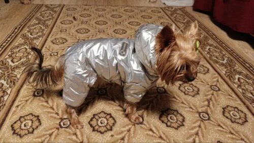 Salopeta imblanita, impermeabila, Argintiu #HC547 photo review