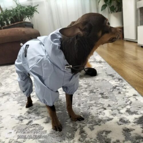 Pelerina Ploaie Pentru Catei, Albastra #HC350 photo review