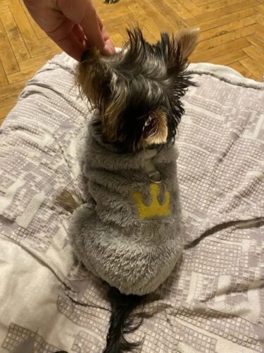 Salopeta Pufoasa, Inel pentru lesa, Gri #HC1806 photo review