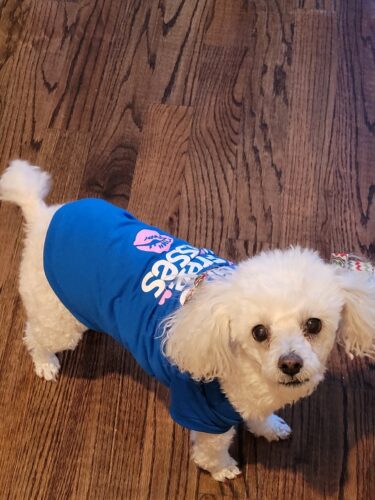 Tricou - Free Kisses - Albastru #HC1040 photo review