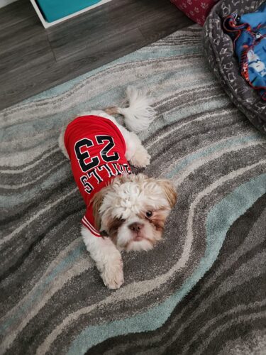 Tricou Baschet #HC1217 photo review