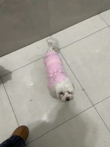 Salopeta Catifea, Imblanita, Buffy Couture, Roz #HC402 photo review