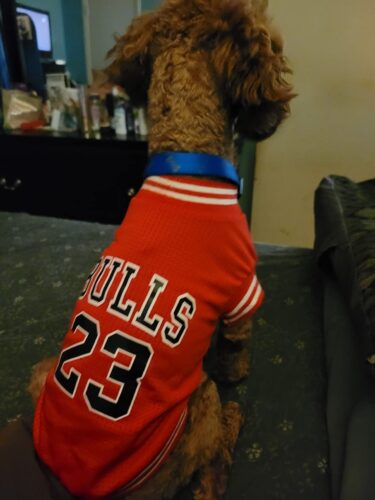 Tricou Baschet #HC1217 photo review