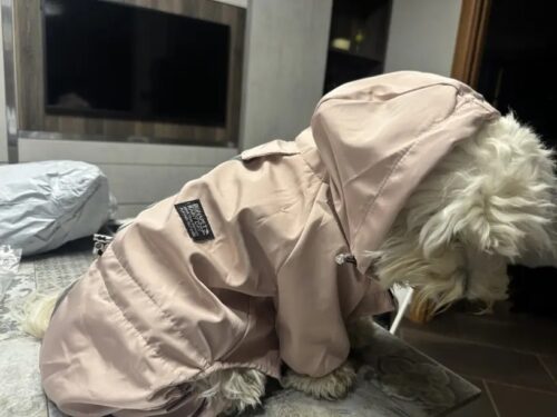 Pelerina Ploaie Pentru Catei, Roz #HC351 photo review