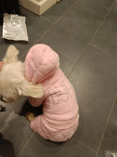 Salopeta Catifea, Imblanita, Buffy Couture, Roz #HC402 photo review