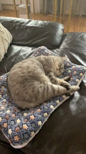 Covoras moale pentru caini si pisici, Fleece #PC93 photo review