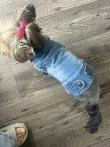 Vesta de Blugi #HC1207 photo review