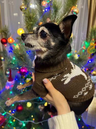 Pulover Tricotat - Maro #HC1558 photo review