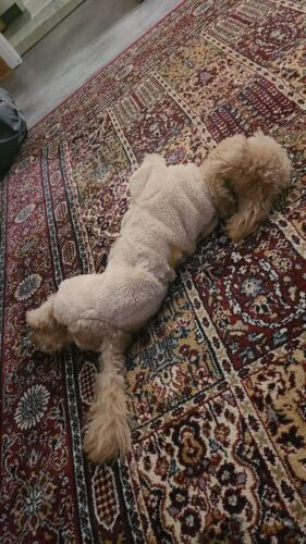 Salopeta Pufoasa, Inel pentru lesa, Crem #HC1807 photo review