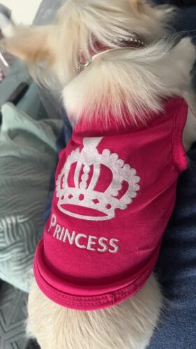 Tricou Pentru Catei - Princess - Roz Inchis #HC1698 photo review