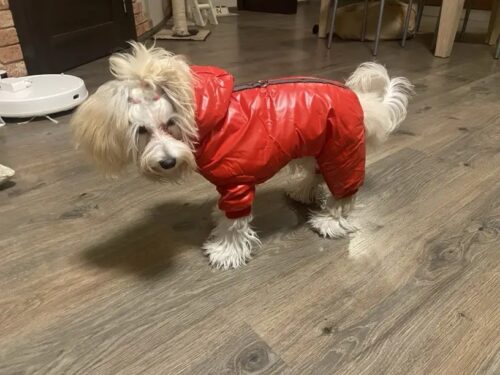 Salopeta imblanita, Impermeabila, Gluga, Inel pentru Lesa, Rosie #HC1791 photo review