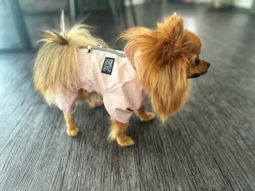 Pelerina Ploaie Pentru Catei, Roz #HC351 photo review