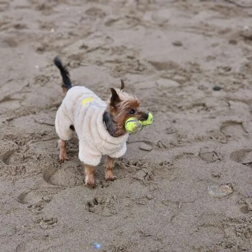 Salopeta Pufoasa, Inel pentru lesa, Crem #HC1807 photo review