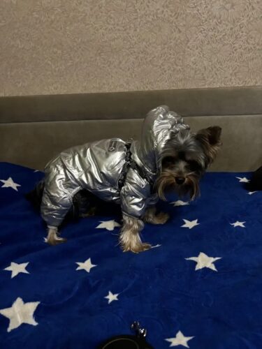 Salopeta imblanita, impermeabila, Argintiu #HC547 photo review