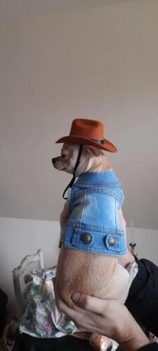 Vesta de Blugi #HC1207 photo review