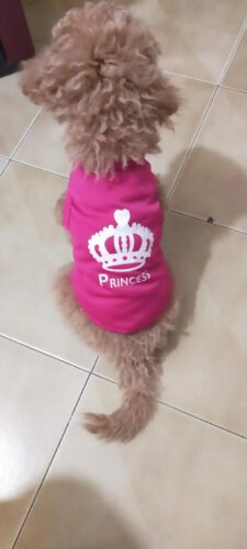 Tricou Pentru Catei - Princess - Roz Inchis #HC1698 photo review