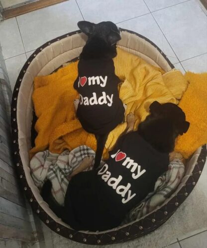 Tricou pentru catei - I ❤ My Daddy - Negru #HC1678 photo review