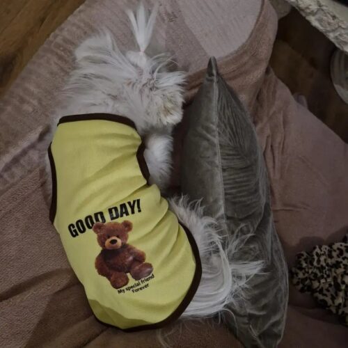 Tricou pentru catei - Good Day - Verde Neon #HC1632 photo review