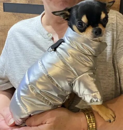 Geaca Matlasata, Impermeabila - Argintie #HC616 photo review