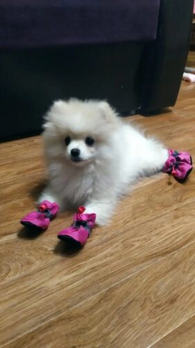 Papuci imblaniti, Roz, #P16 photo review