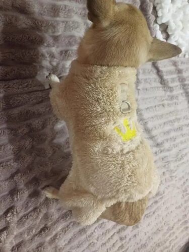 Salopeta Pufoasa, Inel pentru lesa, Crem #HC1807 photo review