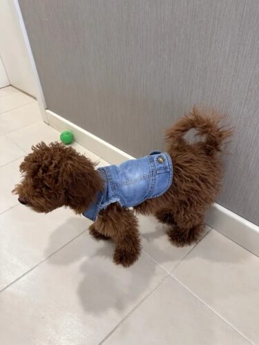 Vesta de Blugi #HC1207 photo review