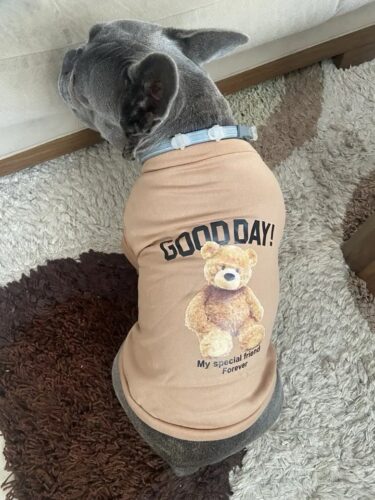 Bluza Crem - Good Day #H543 photo review