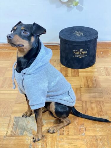 Hanorac cu Gluga, Gri #HC944 photo review