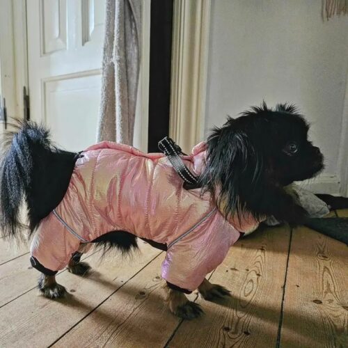 Salopeta Imblanita, Impermeabila, Inel Pentru Lesa HC1758-1764 photo review