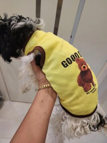 Tricou pentru catei - Good Day - Verde Neon #HC1632 photo review