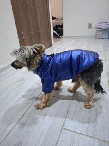 Geaca Matlasata, Impermeabila - Albastra #HC617 photo review