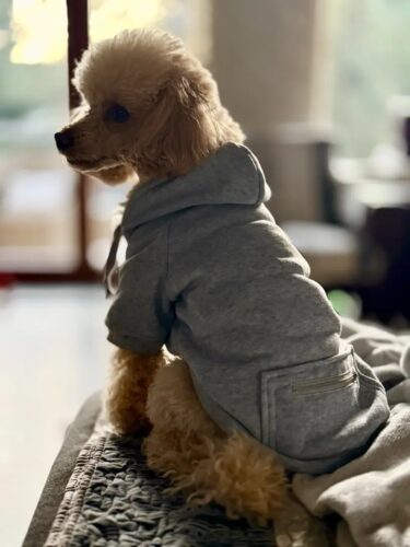 Hanorac cu Gluga, Gri #HC944 photo review