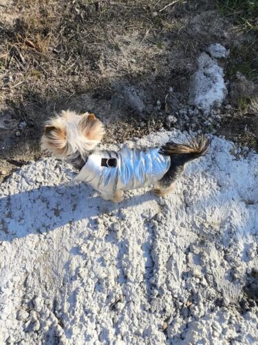 Geaca Matlasata, Impermeabila - Argintie #HC616 photo review