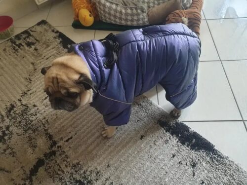 Salopeta Imblanita, Impermeabila, Inel Pentru Lesa HC1758-1764 photo review