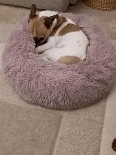 Pat Pufos Pentru Caini si Pisici #PC29 photo review